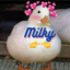 DuckMilky