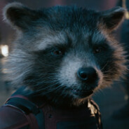 Rocket Raccoon