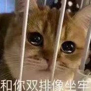 我说一丝是我穿了一双黑丝你以为是什么？