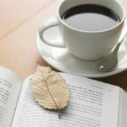 爱打工的小动物