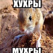 люблю стиралку