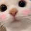 红豆