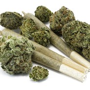 Мощные шишки