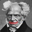 Positive Schopenhauer