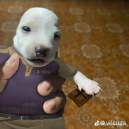 Where&#039;s my adrenaline?