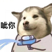 宁吼辣么大声干嘛