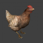 CHICKEN avatar