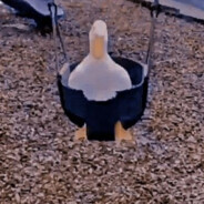 ItzDani4 avatar