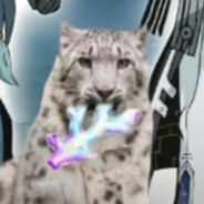 漂哥别回头，我是雪豹