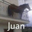 juan