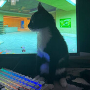 Volorf19 avatar