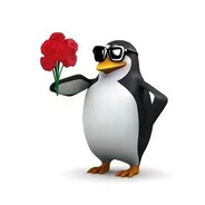 暴打打打你个大鲜橙