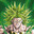 Brocoli brolY