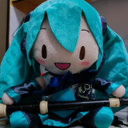 咖喱蜘蛛Carryspider