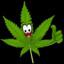 pivvx