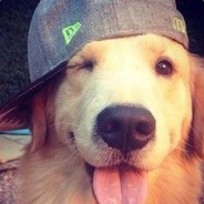 AnAn | 哈，我叫一诺(*^▽^*)！