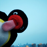 pingu