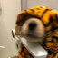 HAN