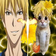 ✞Zahi fortune✞(prime)