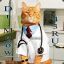 Dr.Meow
