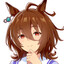Avatar of Aorus Tachyon