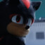 Shadow the hedgehog