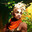 EKKO