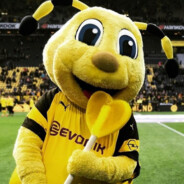 据损失和释迦牟