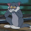 Loky