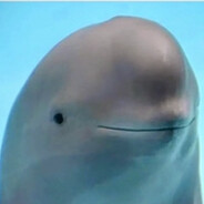 Figusus, petit être bleu