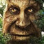scrumbojohnson