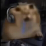kiskasucki avatar