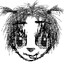 yasper_moglot