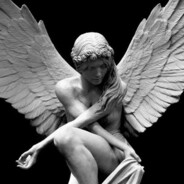 m1shest - steam id 76561198274128139