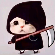 小猫死神