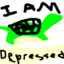 Depressed Turtle