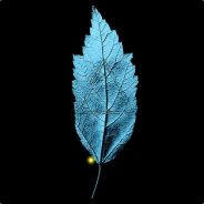 PlanitDuck - steam id 76561197966145153