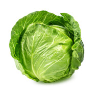 LazerCabbage