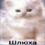 Я проститутка
