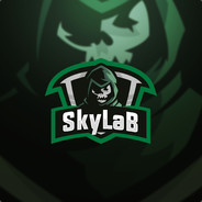 Alper "SkyLaB" Erez