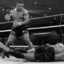 RockyBoxer
