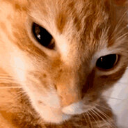 —͟͞͞★𝙰ᵣ𝕘üḭ𝕟