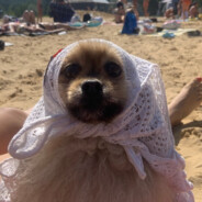 Валькин Дед - 3