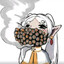 Mapache