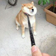 我是布洛芬缓释胶囊，你可以叫我止痛药