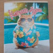 Кошачьи будни
