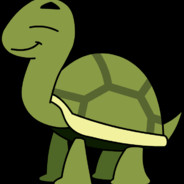 GTurtleB