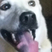 Pupper