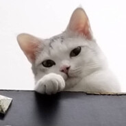DoSomeThing - steam id 76561198344487297