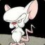CorteX